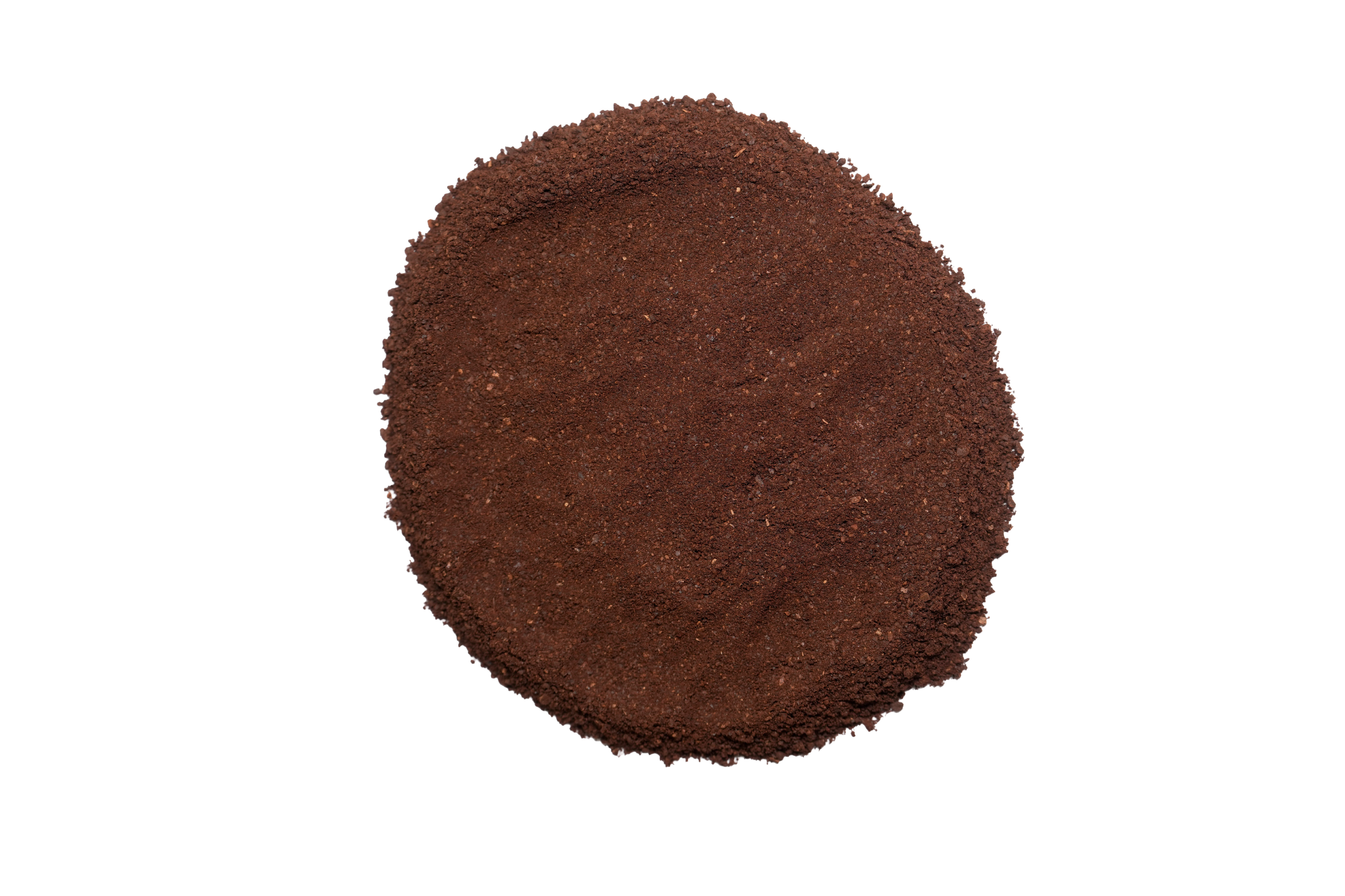 Roasted Chicory Powder