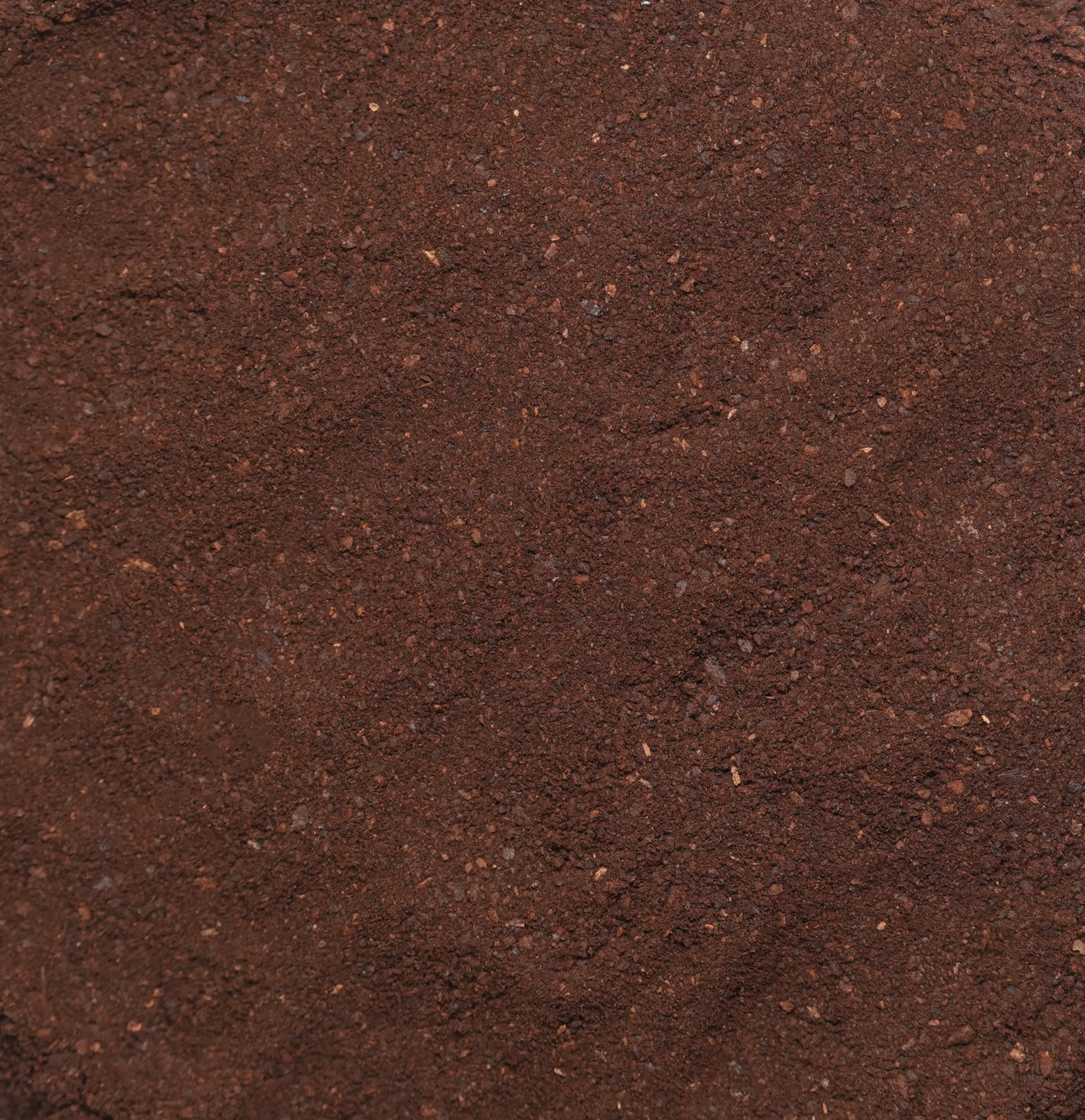 Roasted Chicory Powder 1